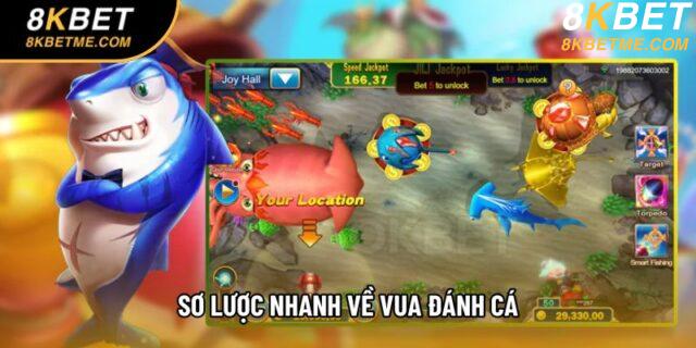 Sơ lược nhanh về vua đánh cá