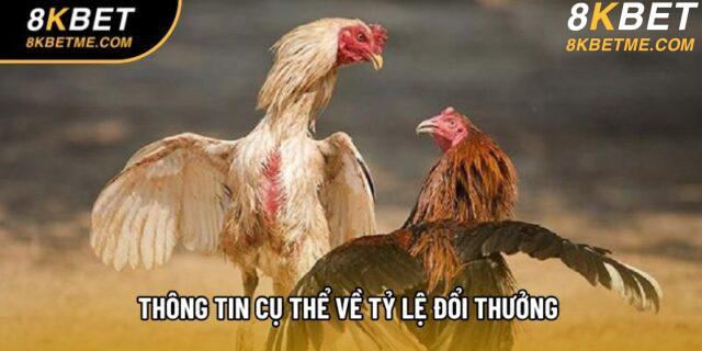 Thông tin cụ thể về tỷ lệ đổi thưởng 